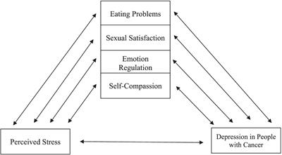 Modeling the relationship between depression in people with cancer and perceived stress, with the mediating role of eating problems, sexual satisfaction, emotion regulation and self-compassion